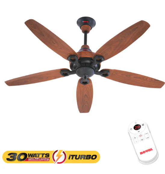 Royal  Ornament - iTurbo 30 Watts Fan