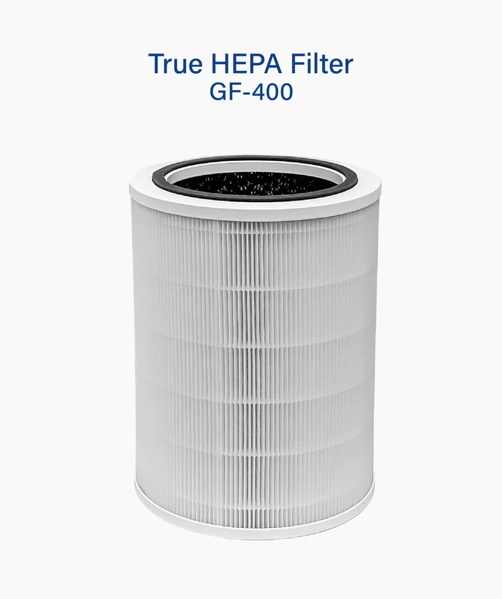 GFC True Hepa Filter (GF-400)